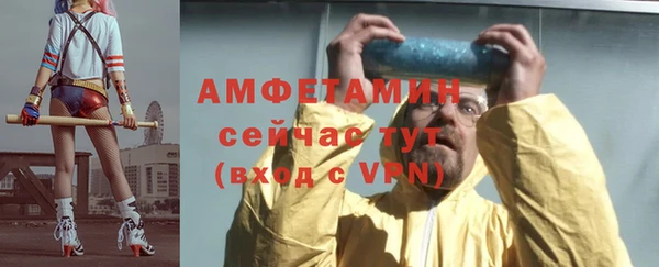 прущие грибы Балахна