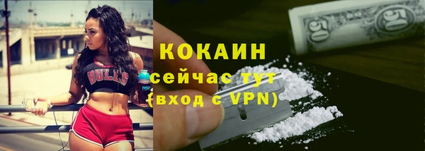 прущие грибы Балахна