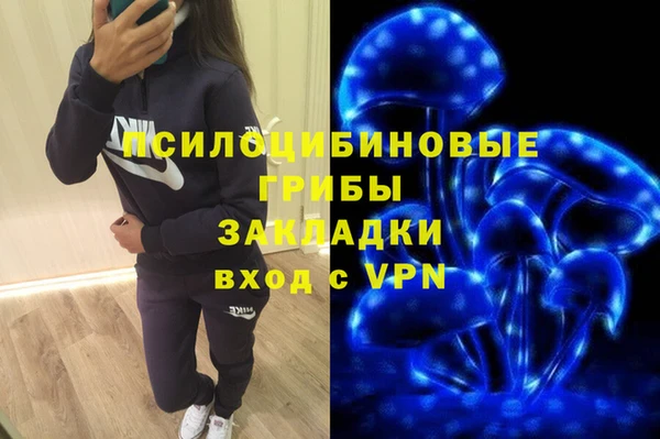 прущие грибы Балахна
