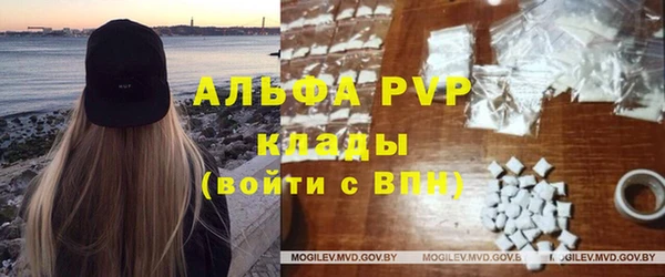 прущие грибы Балахна
