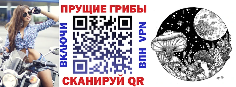 как найти закладки  мега tor  Галлюциногенные грибы Magic Shrooms  Балашов 